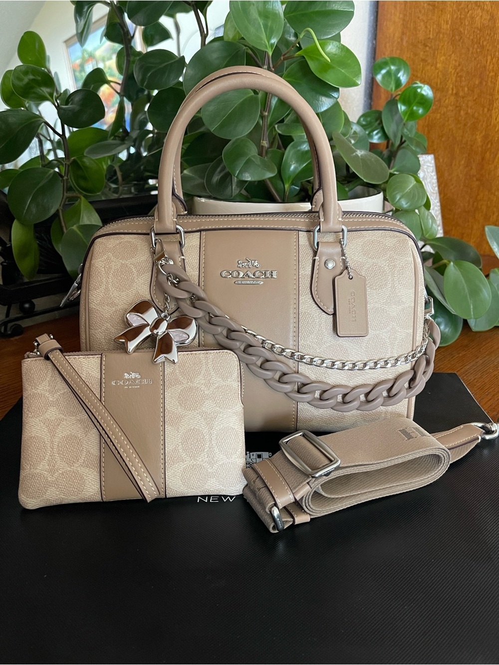 Coach Rowan Satchel with Stipe & NWT Matching Wristlet